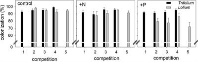 Arbuscular Mycorrhizal Fungi and Nutrition Determine the Outcome of Competition Between Lolium multiflorum and Trifolium subterraneum